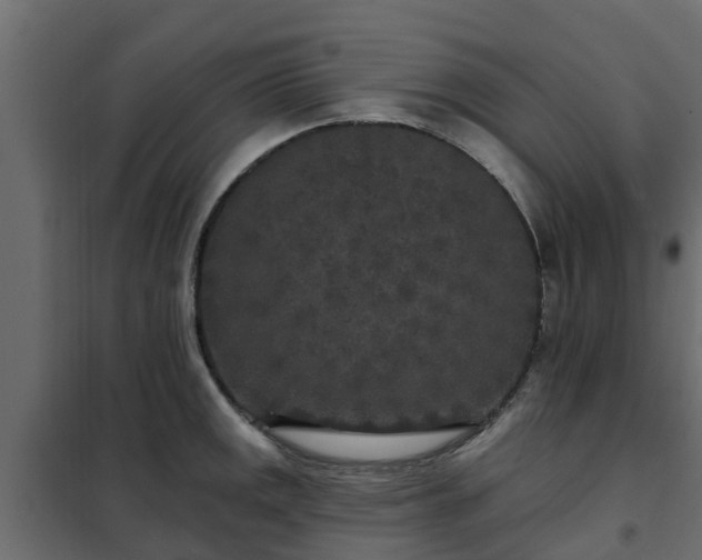 X0000102351141200808081148