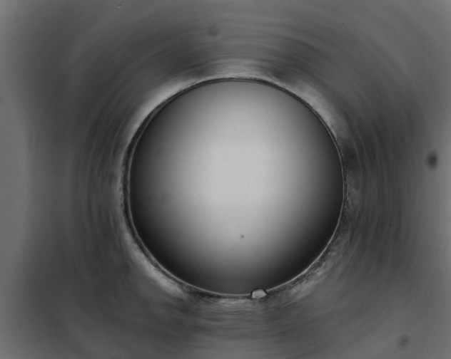 X0000102351142200808081148