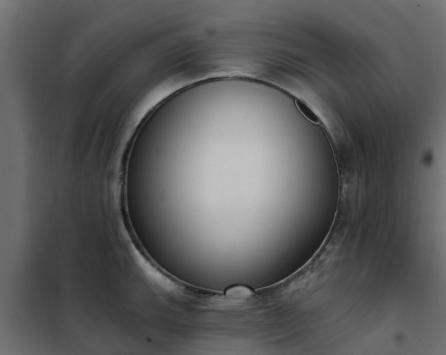 X0000102351143200808081148