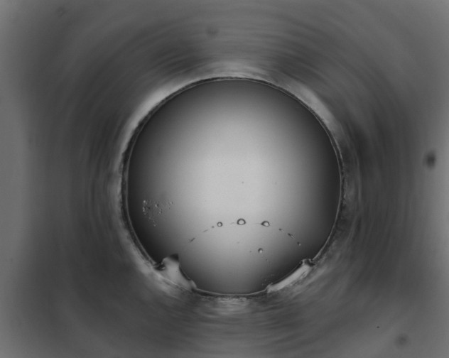 X0000102351144200808081148