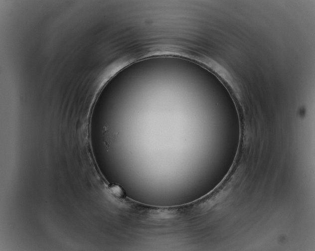 X0000102351145200808081148