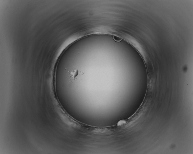 X0000102351146200808081148