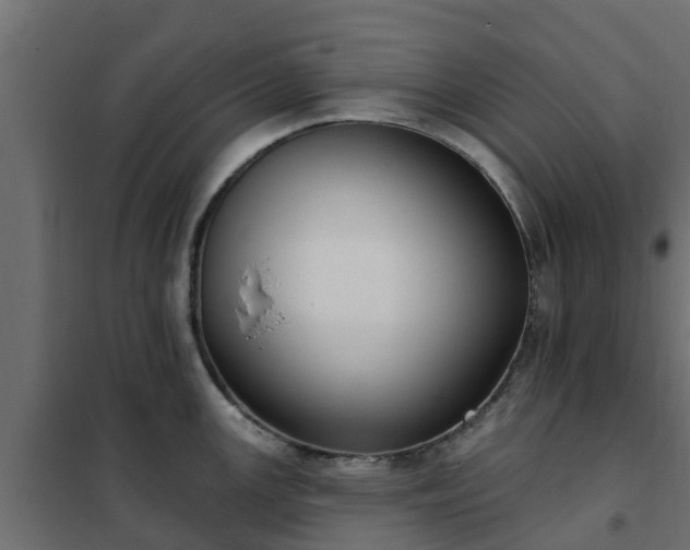 X0000102351147200808081148