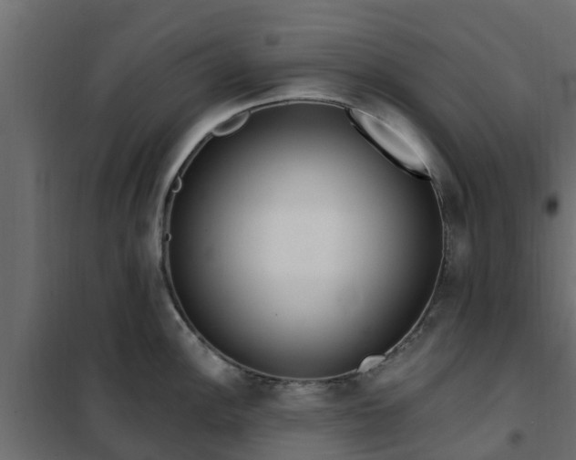 X0000102351148200808081148