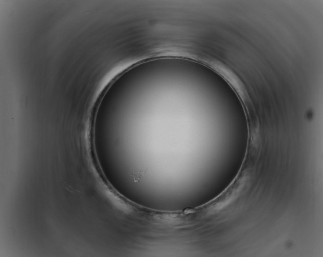 X0000102351149200808081148