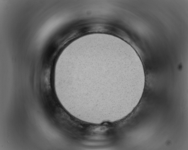 X0000102351150200808081148