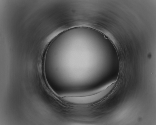 X0000102351151200808081148