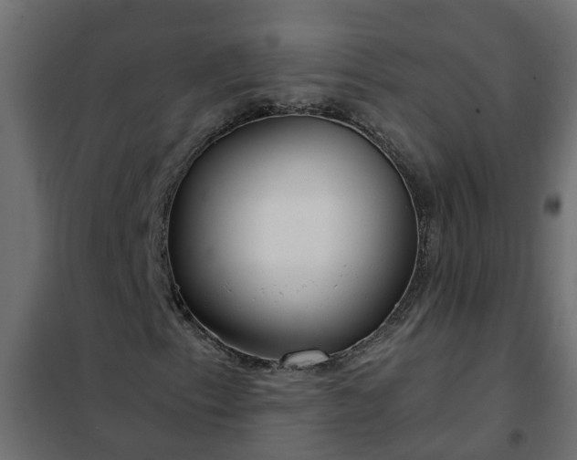 X0000102351153200808081148