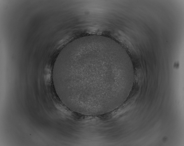 X0000102351154200808081148