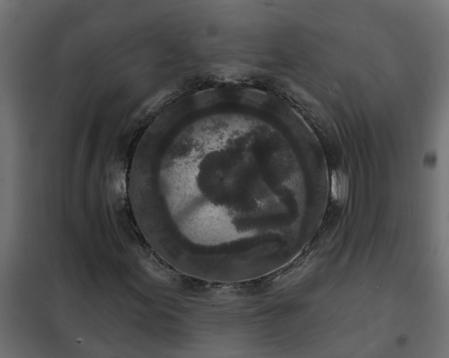 X0000102351155200808081148