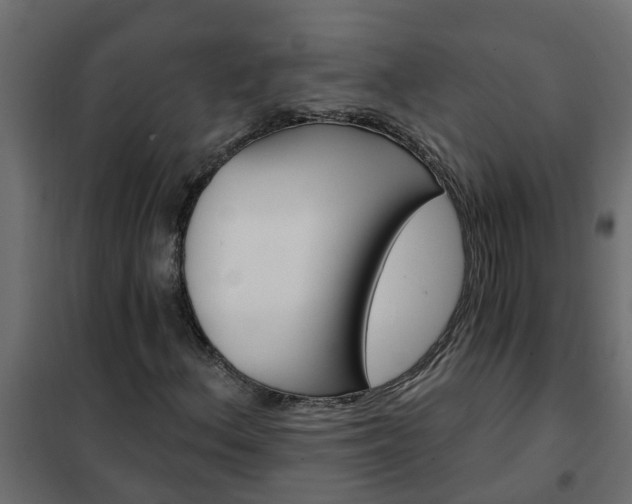 X0000102351156200808081148