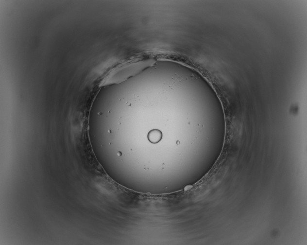 X0000102351157200808081148