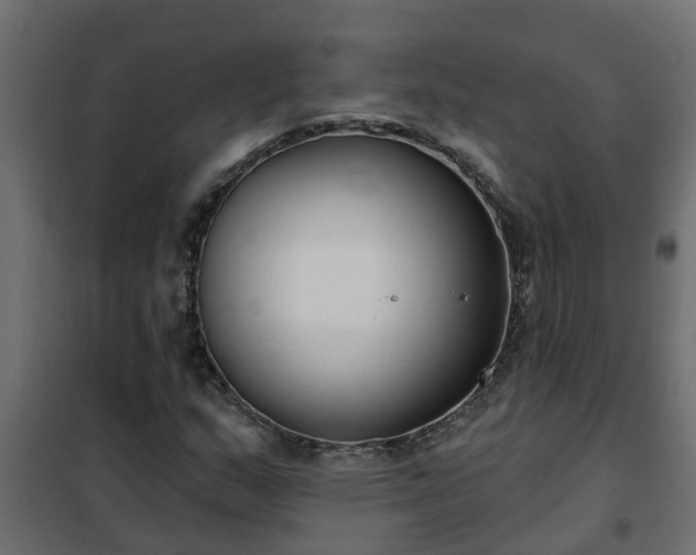 X0000102351159200808081148