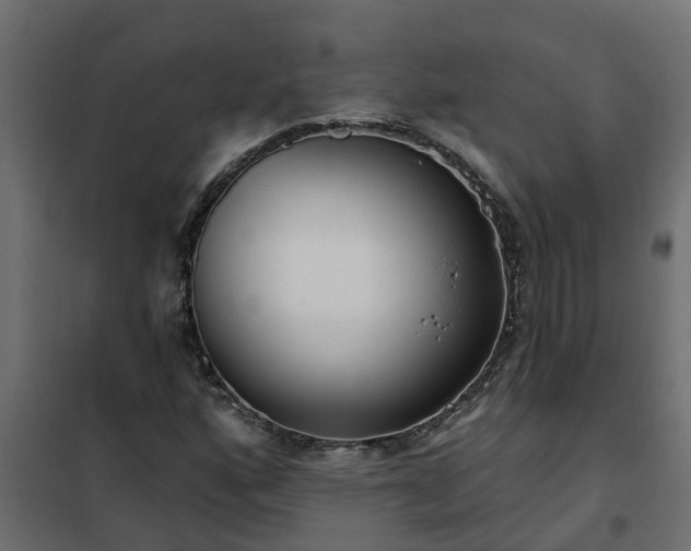 X0000102351160200808081148