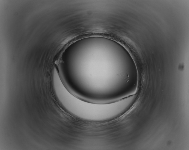 X0000102351161200808081148