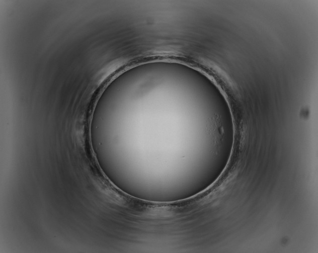 X0000102351162200808081148