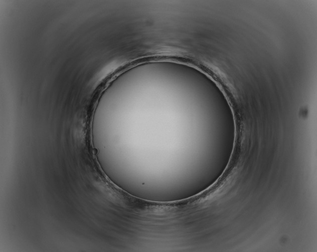 X0000102351163200808081148