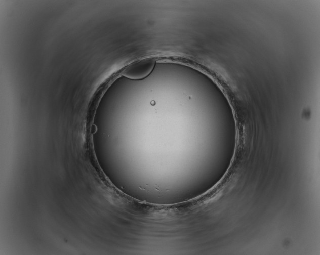 X0000102351165200808081148