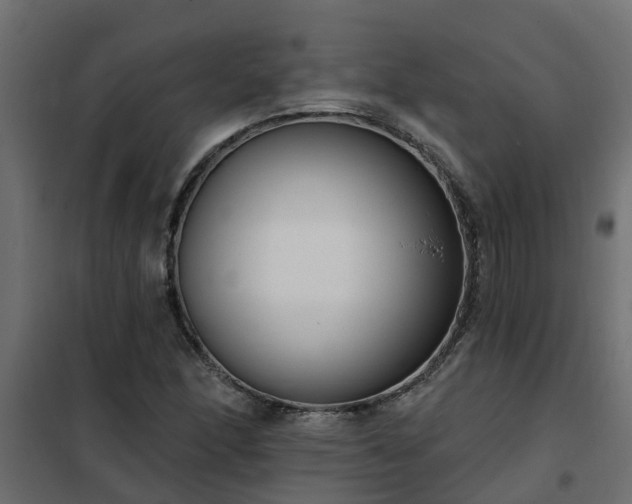 X0000102351166200808081148