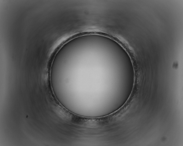 X0000102351167200808081148