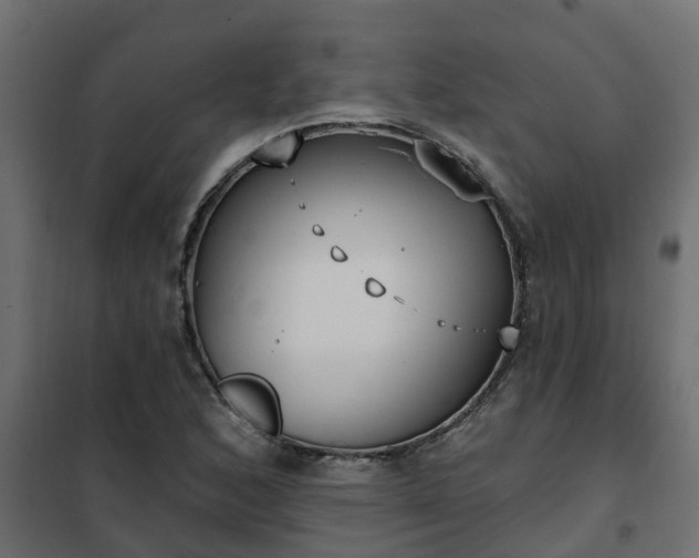 X0000102351168200808081148