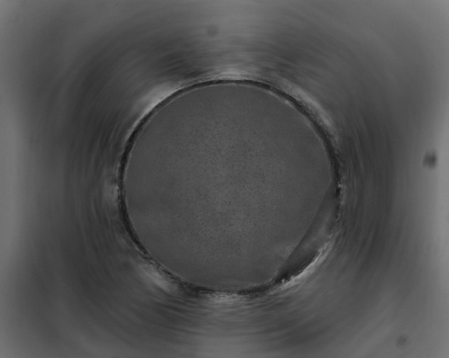 X0000102351170200808081148