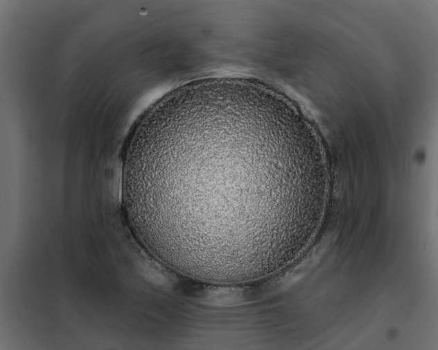 X0000102351171200808081148