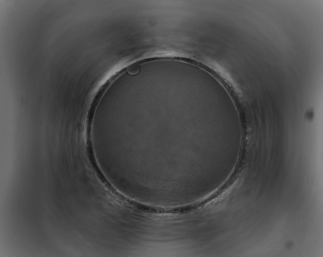 X0000102351173200808081148