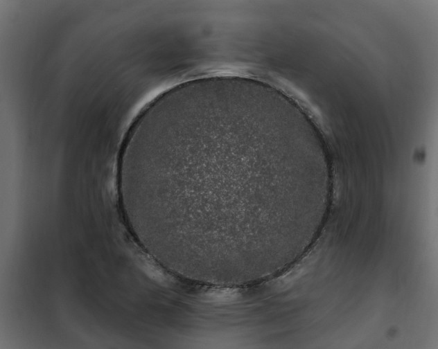 X0000102351174200808081148