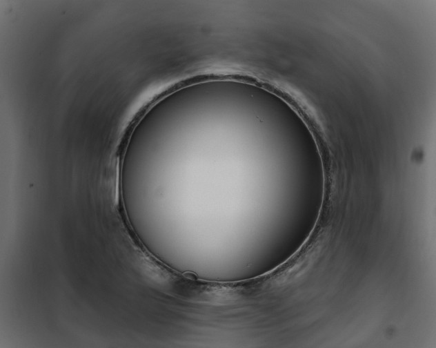 X0000102351175200808081147