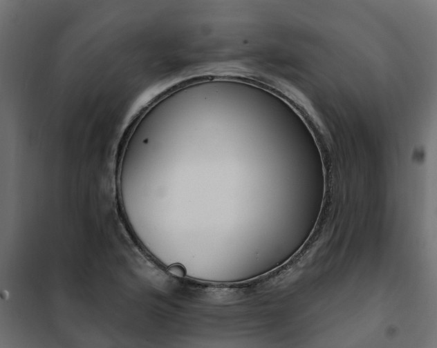 X0000102351176200808081147