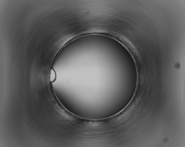 X0000102351177200808081147