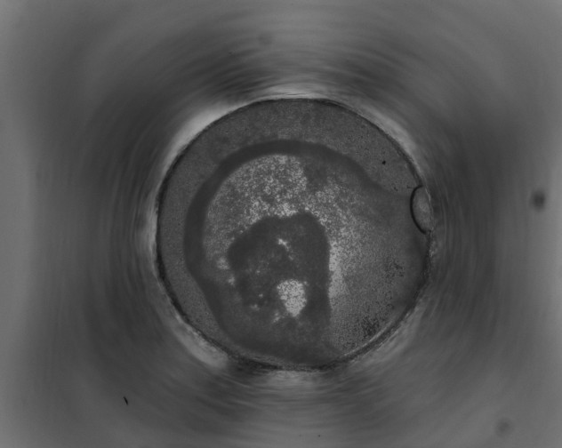 X0000102351179200808081147