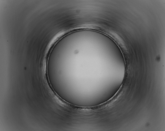 X0000102351180200808081147