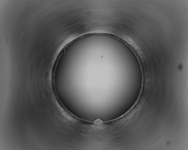 X0000102351181200808081147