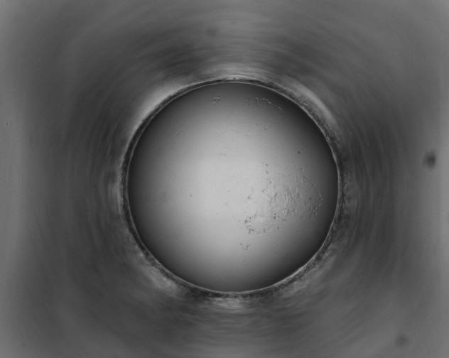 X0000102351182200808081147