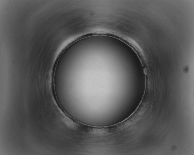 X0000102351183200808081147