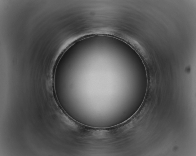 X0000102351184200808081147