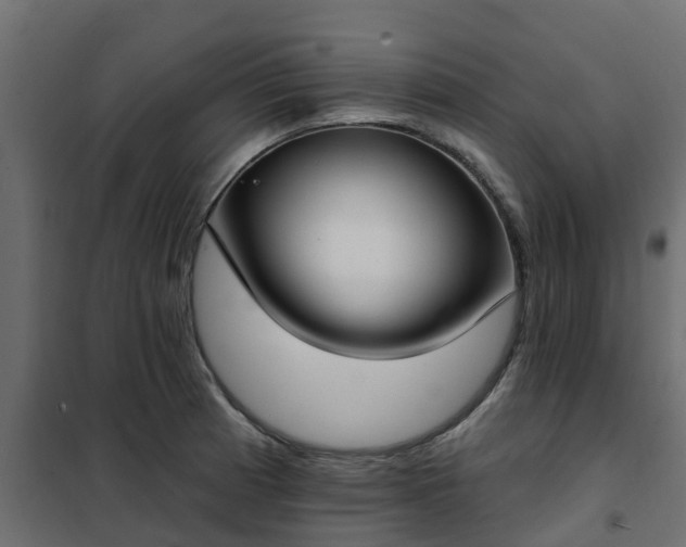 X0000102351185200808081147