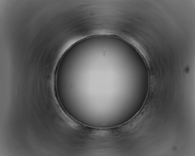 X0000102351187200808081147