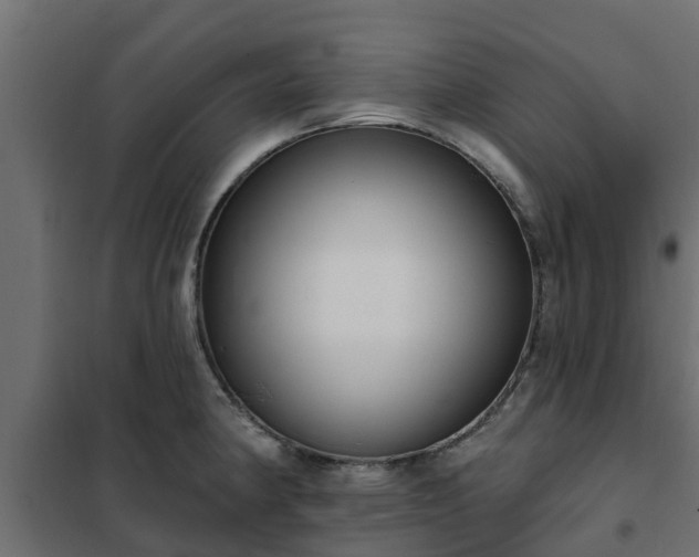 X0000102351190200808081147