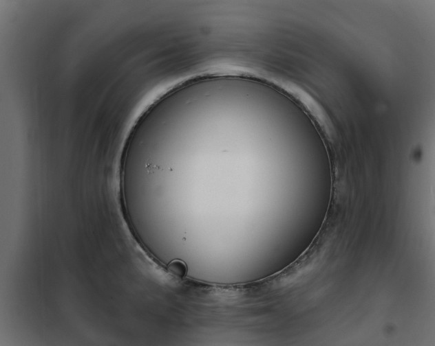 X0000102351191200808081147