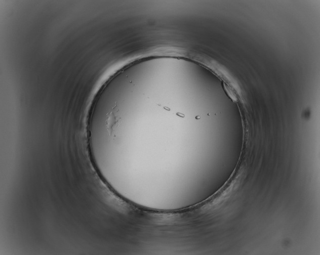 X0000102351192200808081147