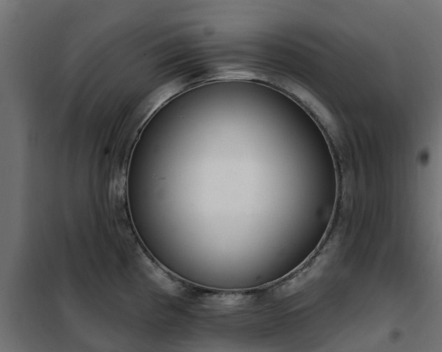 X0000102351193200808081147