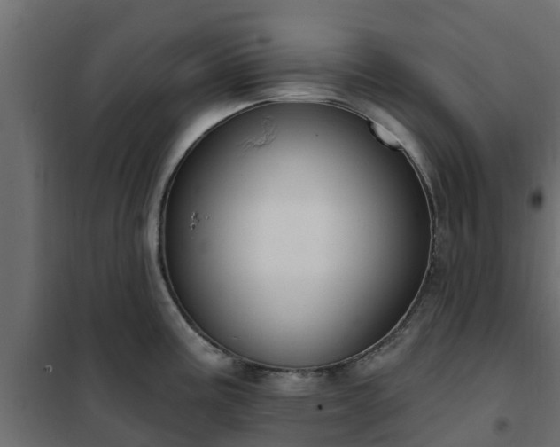 X0000102351195200808081147