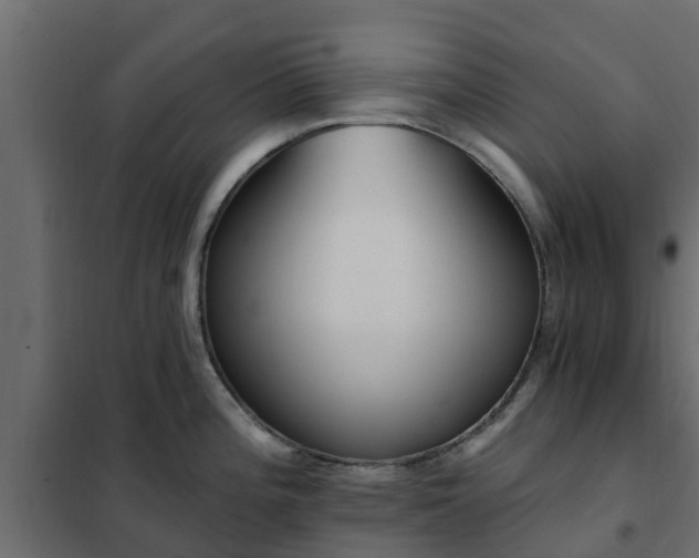 X0000102351196200808081147