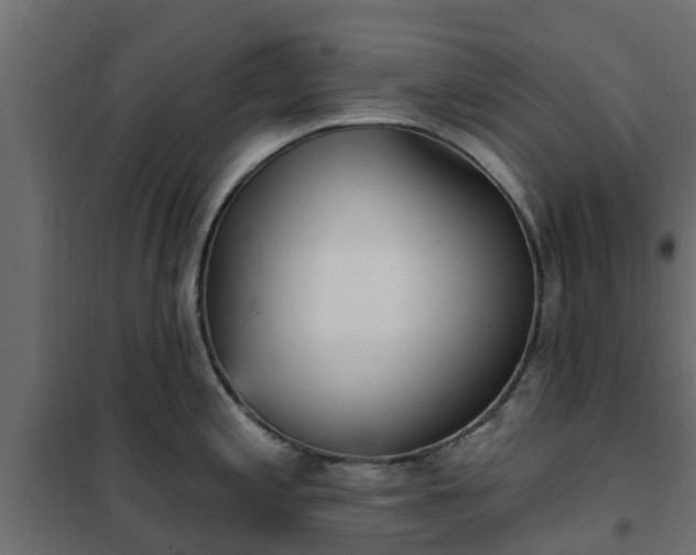 X0000102351197200808081147