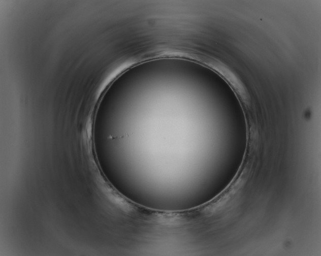 X0000102351198200808081147