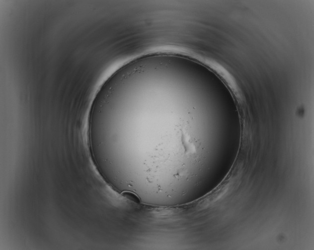 X0000102351199200808081147