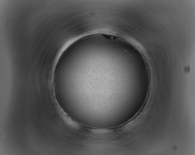 X0000102351200200808081147